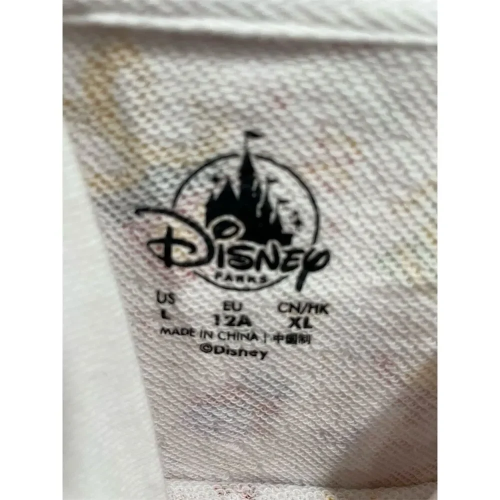 Disney Parks Let's Celebrate Youth L Hoodie Sweatshirt‎ Multicolor Pullover
